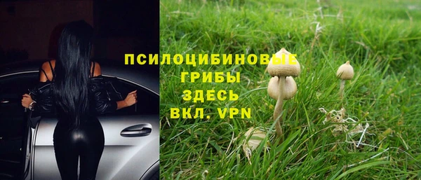 мдпв Абинск